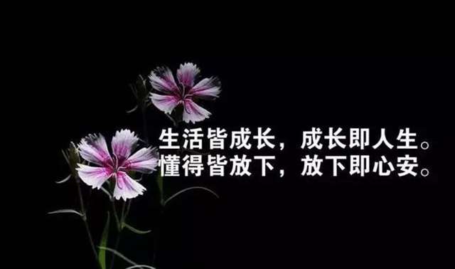 早上精辟的一段正能量语录