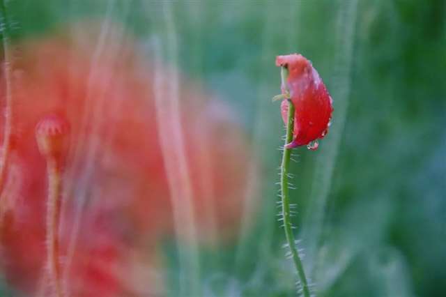 句句穿心的人生语录,醍醐灌顶!
