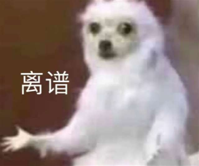 Brat经典作死语录，江湖上常常流传着ta们作死的传说