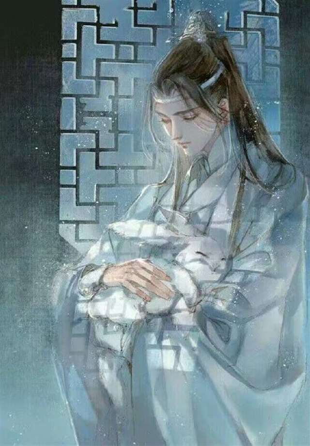 mono猫弄魔道祖师 忘羡毛笔happy