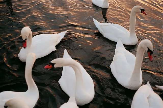 适合发日常的小句子