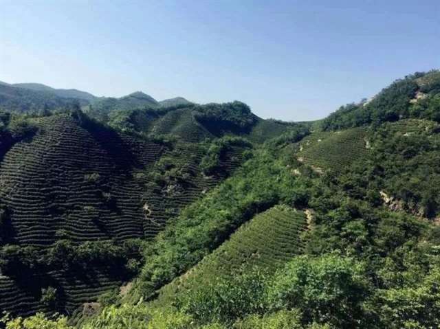 河南一个城市是非常低调的养老宜居之城，它就是信阳。