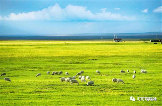 写景比喻句大集合