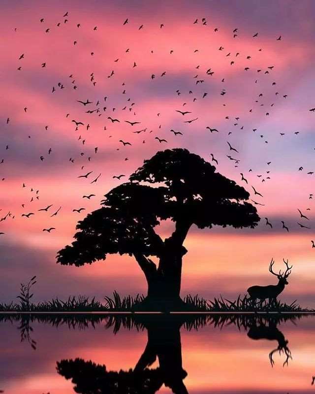 夜深人静的心情句子