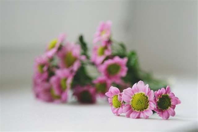 每当夜深人静的时候、隐隐的心痛