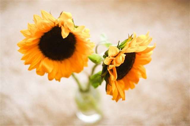 每当夜深人静的时候、隐隐的心痛