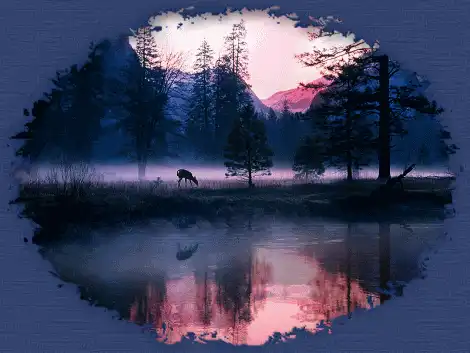 夜深人静时 品品这些话