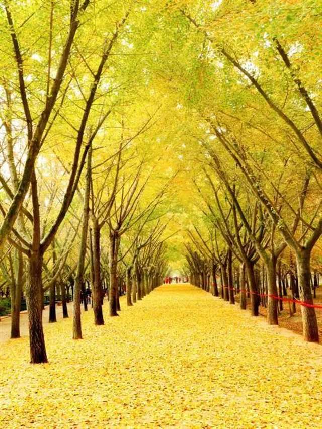 夜深人静的时候,致自己的话