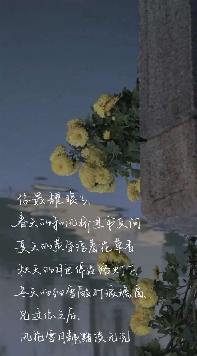 原耽配图 我喜欢你的信息素 路星辞&段嘉衍