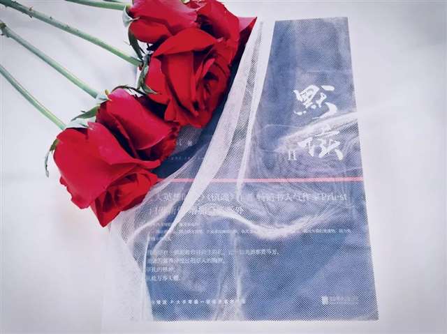 《默读》中哪个情节你记忆深刻？