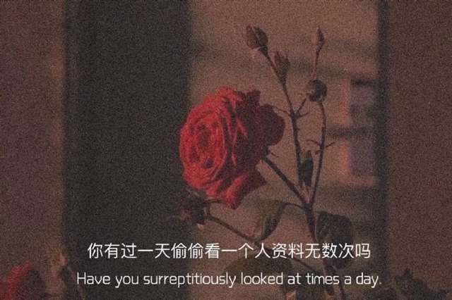 适合深夜发的文案