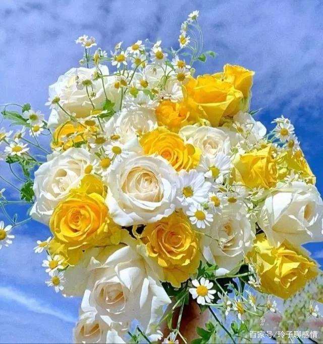 早安心灵鸡汤,特别适合发朋友圈,积极向上,触发内心!