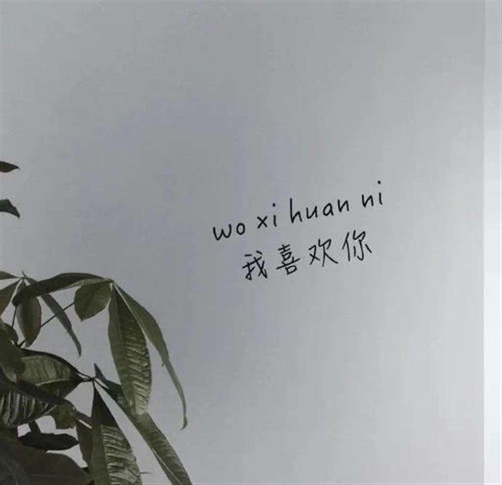 朋友圈背景图 文字