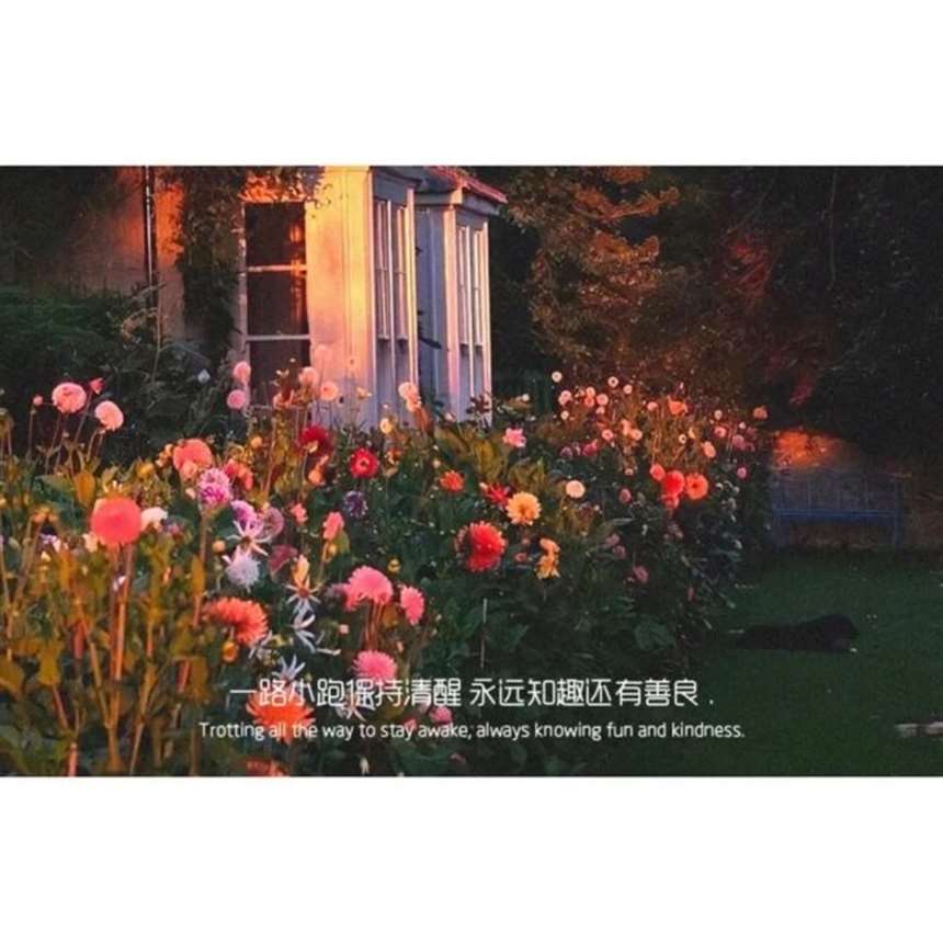 抖音朋友圈背景图