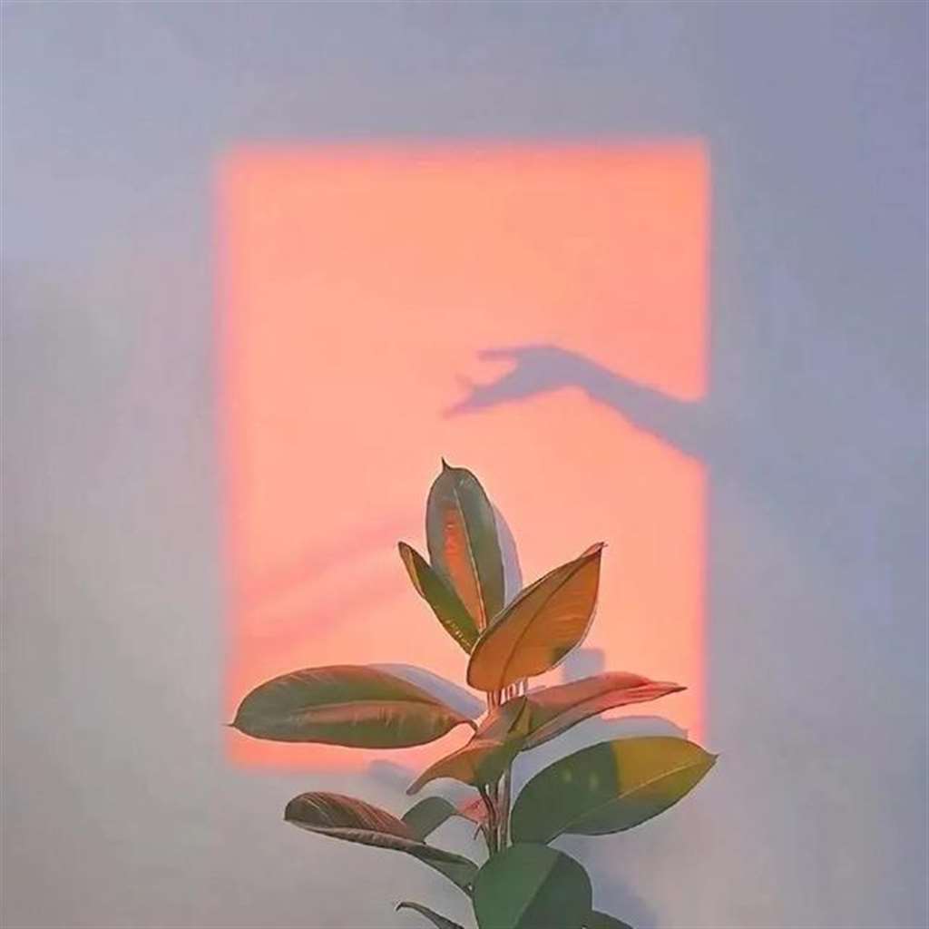 小众欧美风朋友圈空间背景图