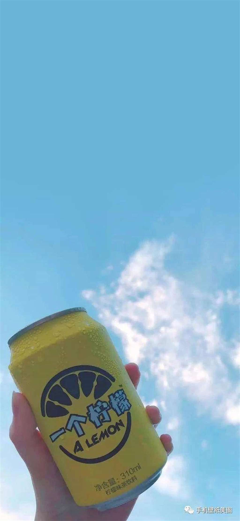 抖音最火猫咪图片壁纸app高清版 v1.0.