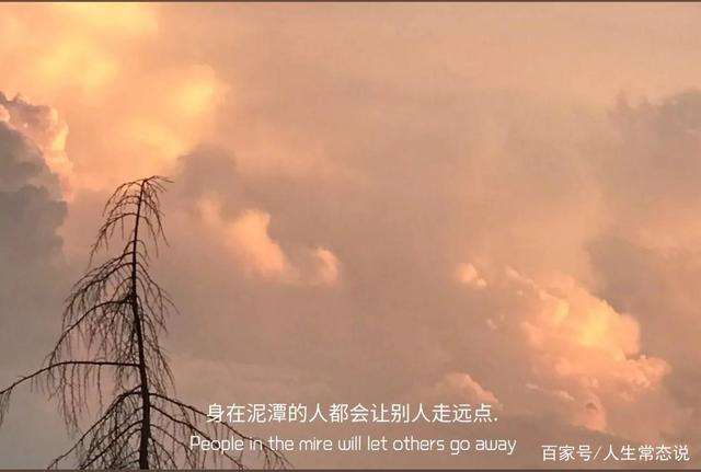 高质量短句文案