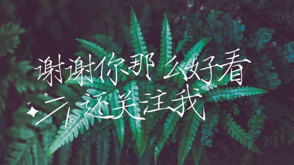 植物摄影图感谢关注关注主题抖音背景图