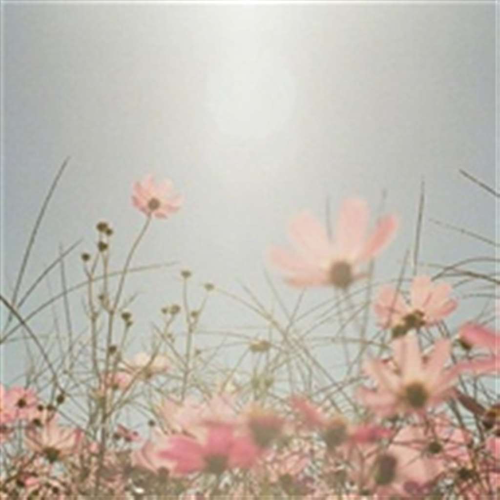 好看的鲜花微信头像图片大全