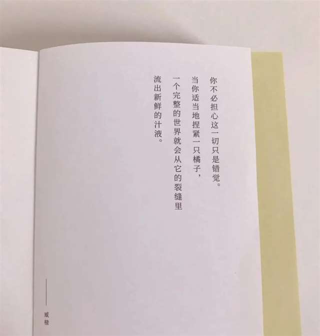 抖音里超火的干净治愈的长句子