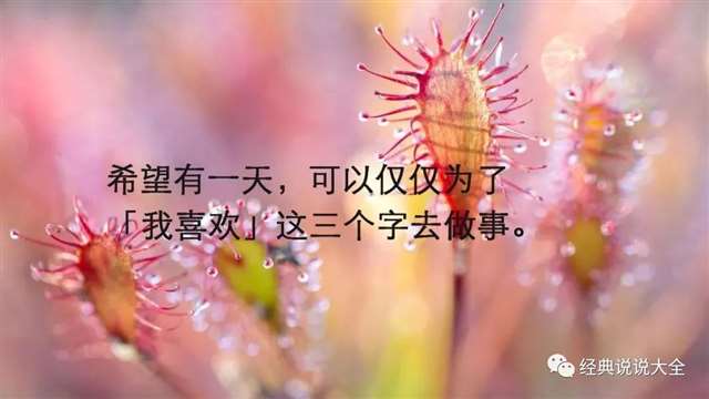 史上最扎心的情感语录,哪句刺痛了你?