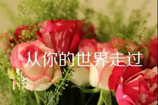 最扎心的心情说说语录,总有一句为你而写!