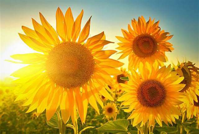 第一眼就吸引人的图片(让人过目不忘的头像)