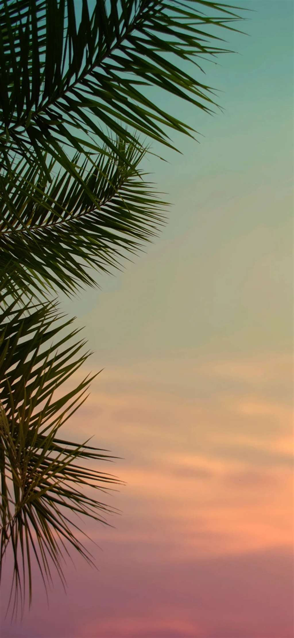 友友们,有没有护眼简约的壁纸啊