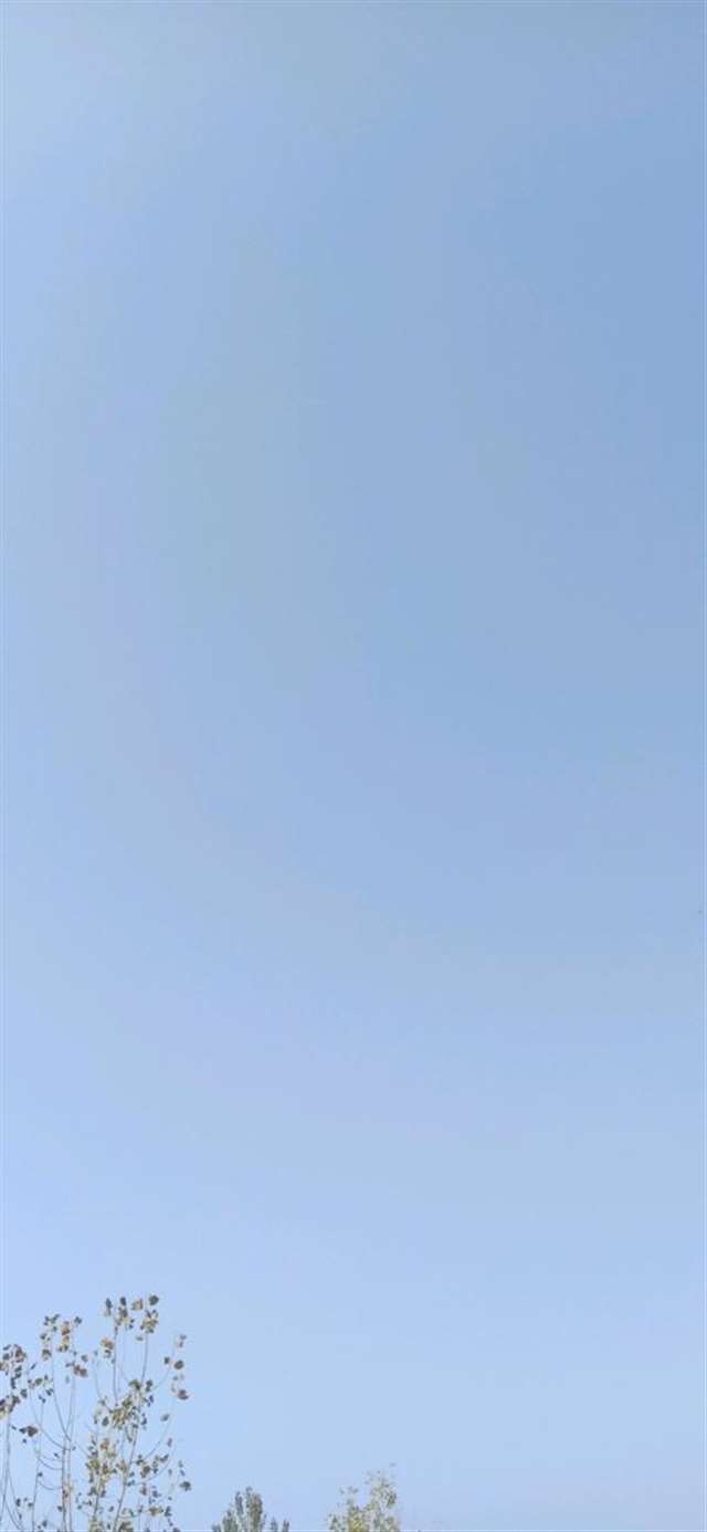 壁纸锁屏聊天背景清新简单植物干净蓝天
