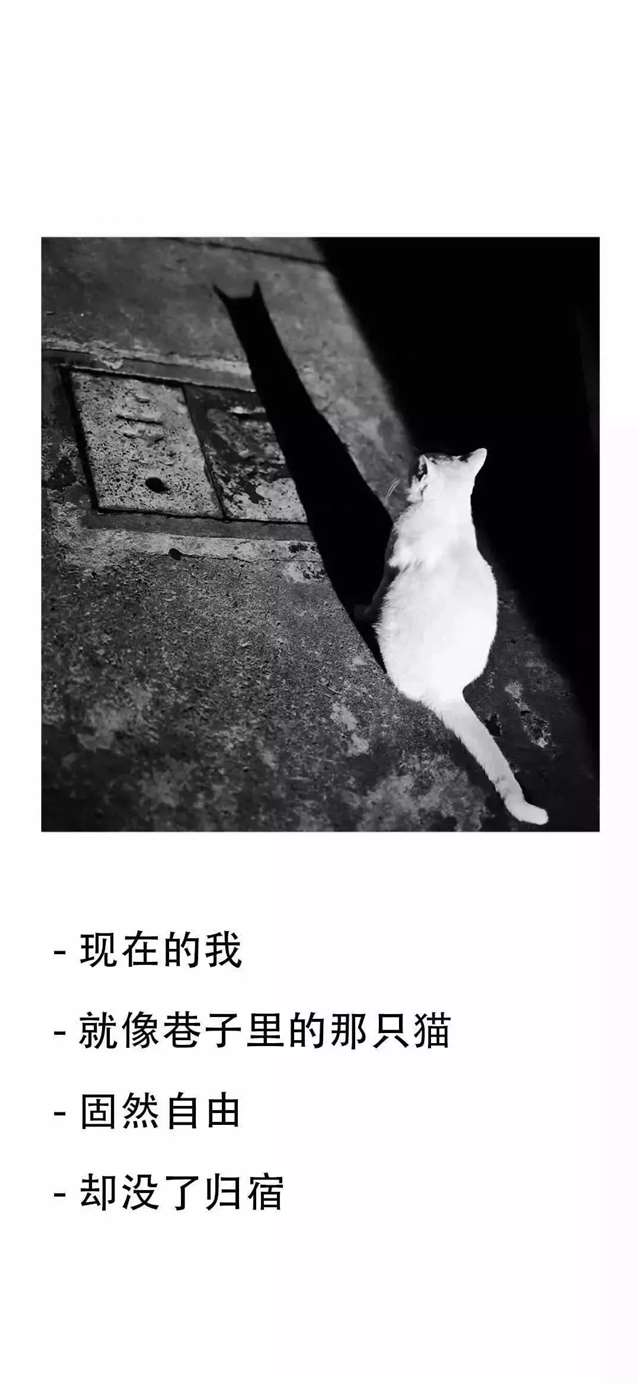 这些句子太扎心了,我自闭了