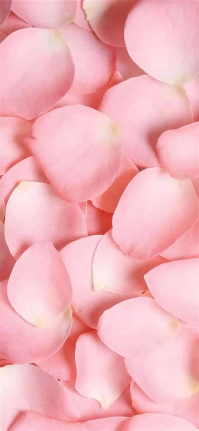 一些包含人生的句子,深沉又含蓄.