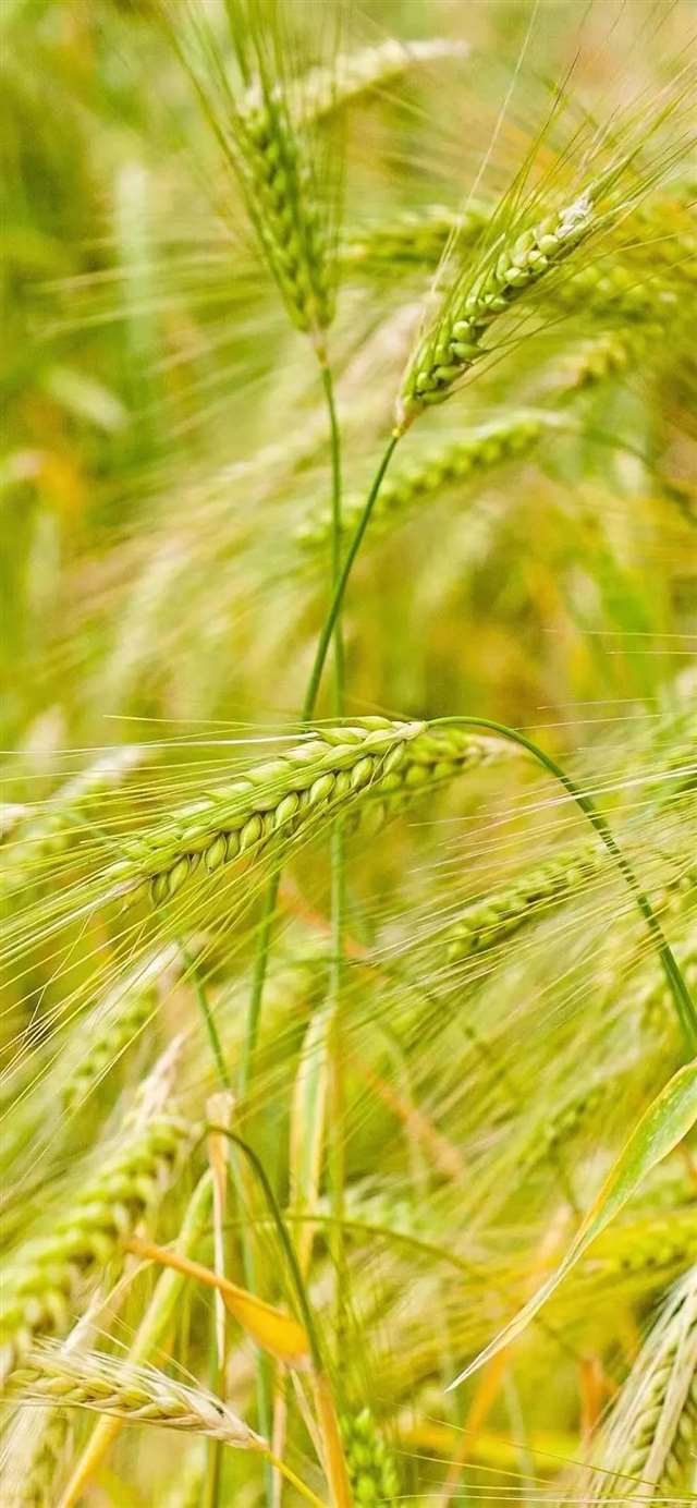 一些包含人生的句子,深沉又含蓄.