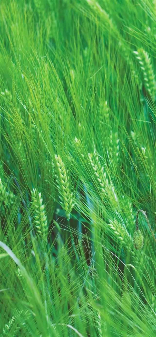 一些包含人生的句子,深沉又含蓄.