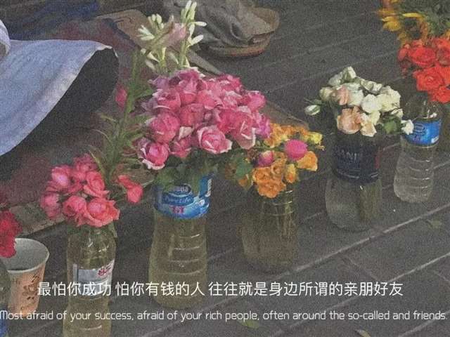 现实的句子戳人心