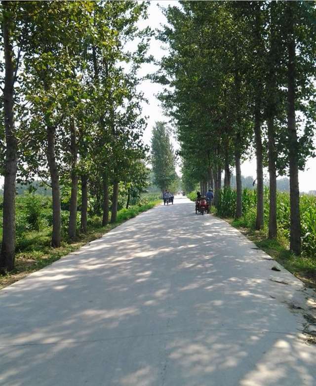 老家乡下的娘家,我心头永远的牵挂!