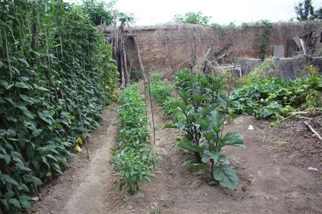 老家乡下的娘家,我心头永远的牵挂!