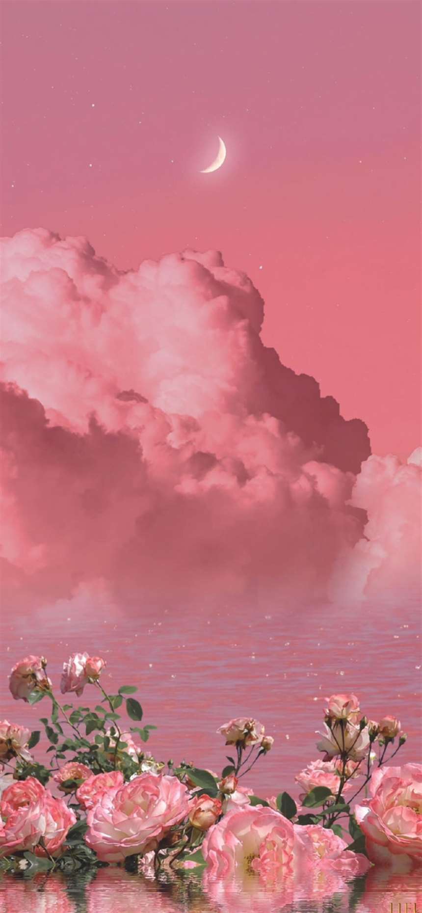 粉色系背景图:ins风小仙女必备图