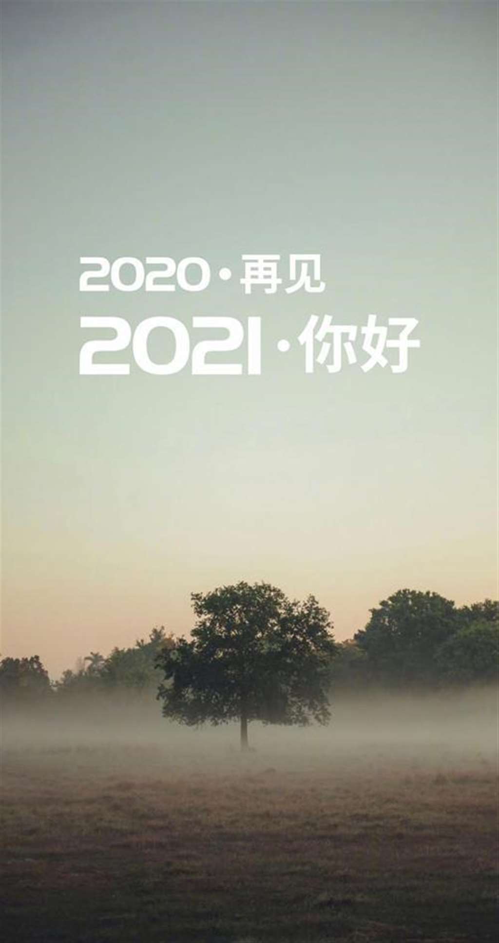 2021最流行的壁纸图片