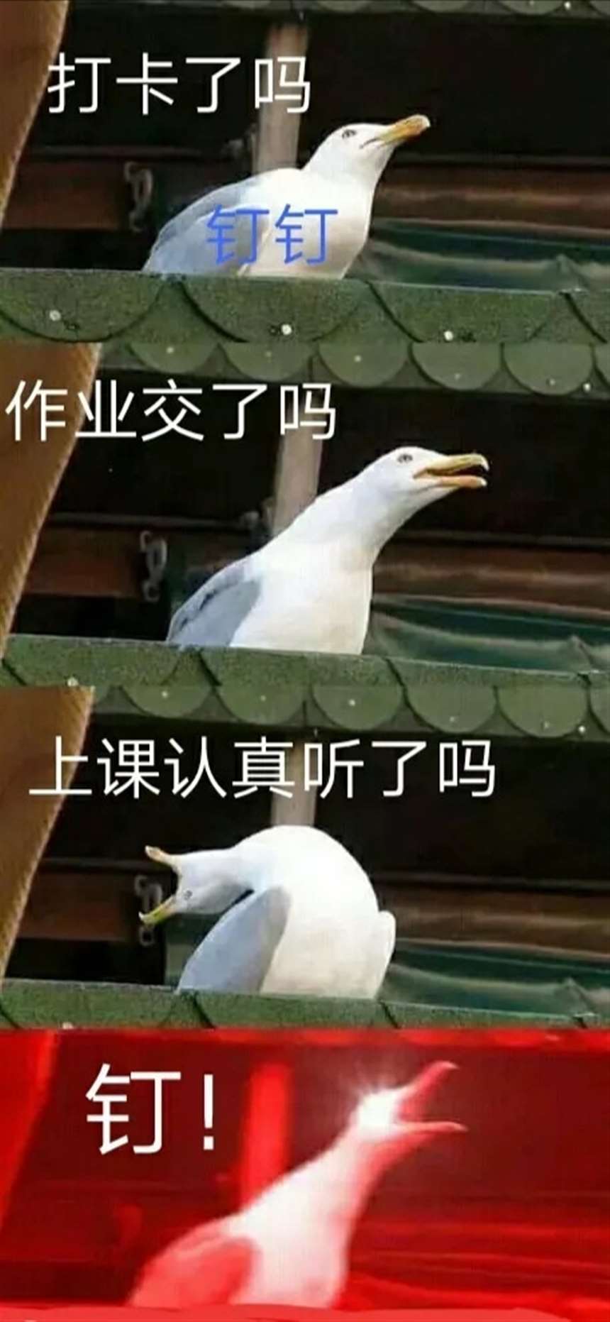 淦,气死我了,上课卡的一批啥也听不到下课作业还布置一大堆