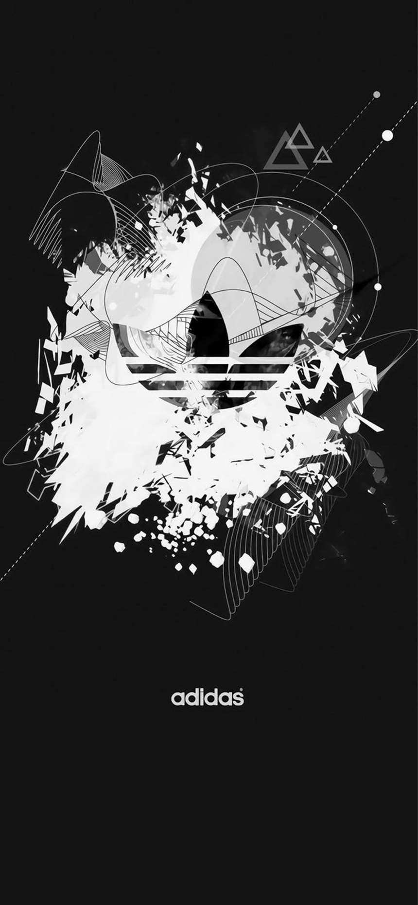 潮流壁纸阿迪三叶草