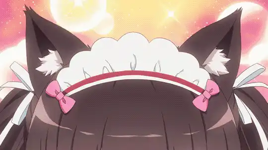 铲屎我都乐意!为什么宅男连一只猫都不放过