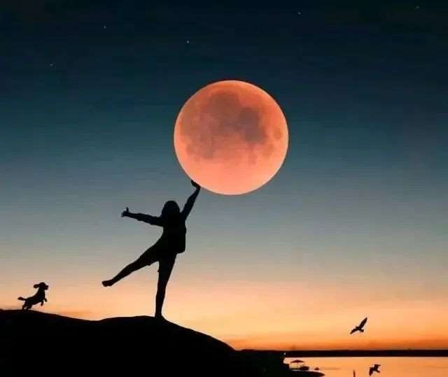 心酸到泪崩的扎心文案