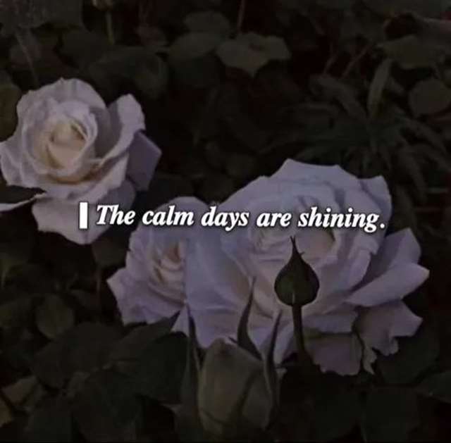 2021极致抑郁崩溃的文案短句,很丧却好听的抑郁文案