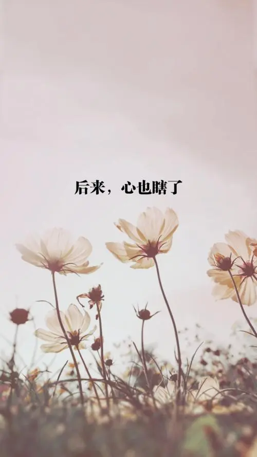 原创 自制 壁纸 背景 文字 禁止加水印修改