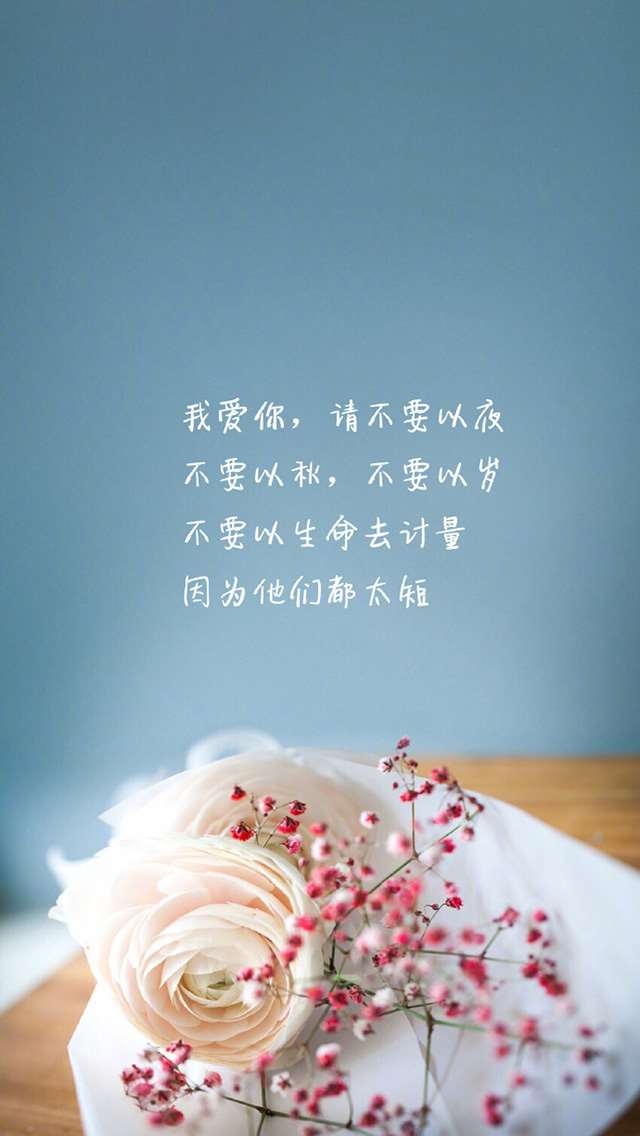 唯美爱情语录高清图文手机壁纸