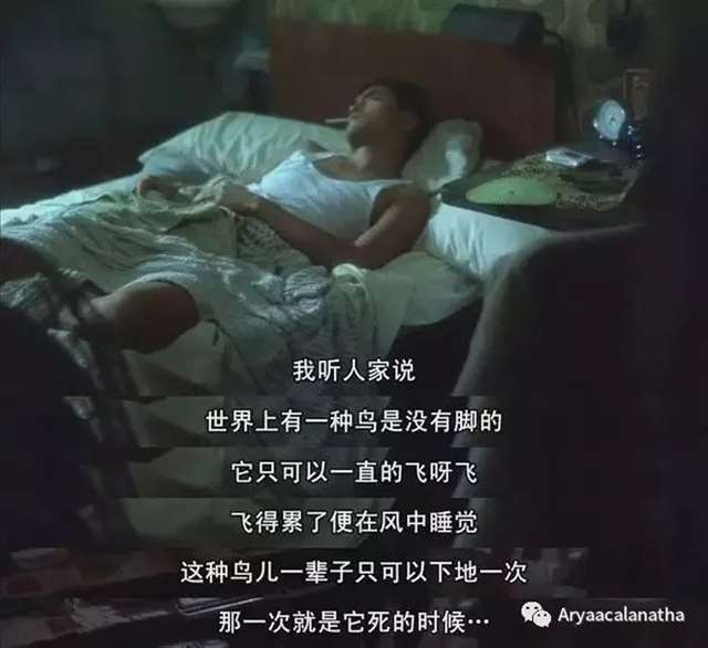 为什么越是渣男越会撩妹