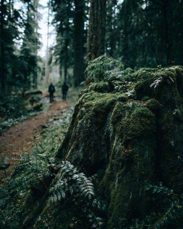 经典人生短句 心宽看淡的句子