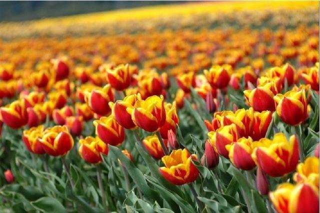 送给自己一句人生格言怎么写 一辈子都不用改的签名