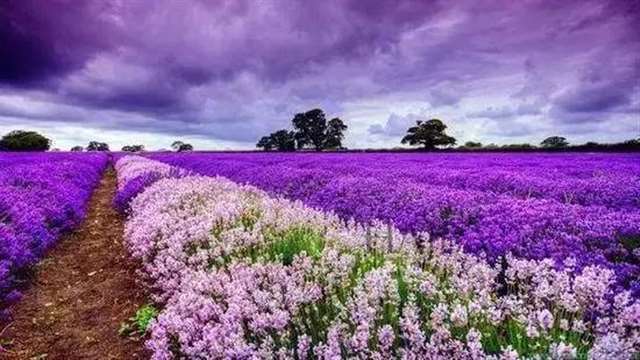 送给自己一句人生格言怎么写 一辈子都不用改的签名