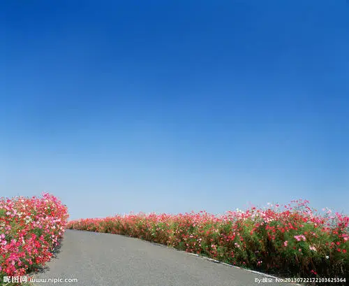 花草风景唯美图片大全大图